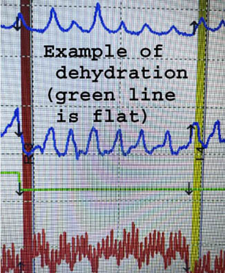 lie detector test in Los Angeles